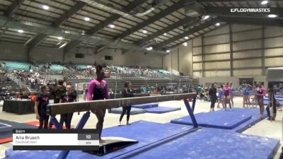 Aria Brusch - Beam, Cincinnati Gym - 2019 Buckeye Classic