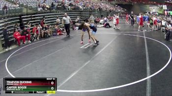 102 lbs Round 5 (6 Team) - Traevon Ducking, Indiana Gold vs Carter Booze, Nebraska Blue