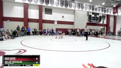 97-107 lbs Semifinal - Jack Hamm, Owen County WC vs Brylee Wechsler, Whiteland WC