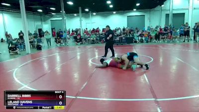 250 lbs Round 1 (8 Team) - Darrell Bibbs, Illinois vs Leland Havens, Wisconsin