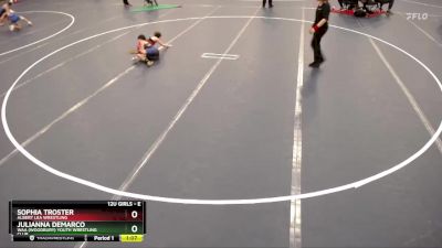 Cons. Round 1 - Julianna DeMarco, WAA (Woodbury) Youth Wrestling Club vs Sophia Troster, Albert Lea Wrestling