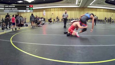 157 lbs Consolation - Liam Gorton, Team Bc vs Dimetry Molina, Rough House