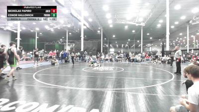 128 lbs Rr Rnd 5 - Nicholas Papiro, Anchor Down - HS vs Conor Hallowich, Pocono Mountain Regional Wrestling Club - HS