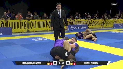 Brian L. Dimattia vs Edward Kwabena Safo 2025 Pan IBJJF Jiu-Jitsu No-Gi Championship