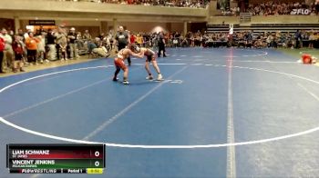 95 lbs Champ. Round 1 - Vincent Jenkins, Pelican Rapids vs Liam Schwanz, St. James