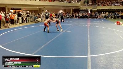 95 lbs Champ. Round 1 - Vincent Jenkins, Pelican Rapids vs Liam Schwanz, St. James