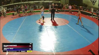 80 lbs Quarterfinal - Elijah Martinez, Hawaii vs Brock Gale, Idaho