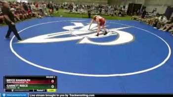 138 lbs Round 2 (8 Team) - Bryce Randolph, Team Michigan Blue vs Garrett Reece, Colorado