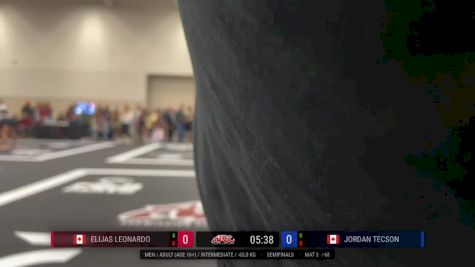 Elijas Leonardo vs Jordan Tecson 2025 ADCC Niagara Open
