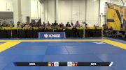RAY W. vs SETH R. 2025 World IBJJF Jiu-Jitsu No-Gi Championship