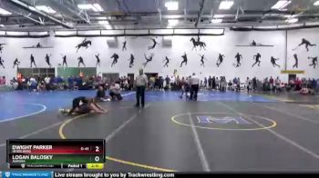 149 lbs Champ. Round 2 - Logan Balosky, Aurora vs Dwight Parker, Heidelberg
