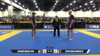 Steven James Schneider Jr vs Alexander Michael Park 2025 World IBJJF Jiu-Jitsu No-Gi Championship