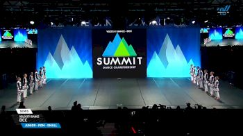 Velocity Dance - DCC [2025 Junior - Pom - Small Semis] 2025 The Dance Summit