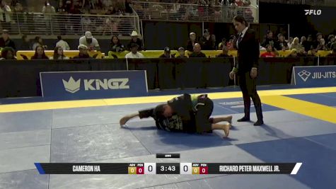 Richard Peter Maxwell Jr. vs Cameron Ha 2025 Pan Kids Jiu-Jitsu IBJJF Championship
