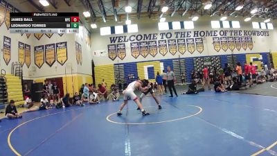 126 lbs Round 4 (8 Team) - Leonardo Torres, Black Hive vs James Ball, Naperville Central