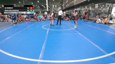 72 lbs Round 2 - Sean McLaughlin, PA Alliance vs AJ Domico, Tri State Hammers