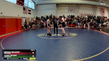 190 lbs Quarterfinal - Alissa Deyapp, Farmington vs Brenna Brummet, Eaglecrest