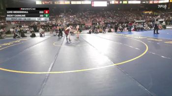 5A 132 lbs Cons. Round 1 - Ricky Carnline, Jerome vs Luke Mendenhall, Columbia