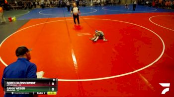 65 lbs Semis & 1st Wrestleback (8 Team) - Soren Kleinschmidt, Little Falls vs Gavin Weber, Brainerd