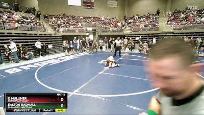 78 lbs Quarterfinal - Q Mulliner, Pahranagat Valley vs Easton Radmall, Timpanogos Wrestling