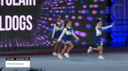 Montclair Bulldogs [2022 Tiny Mite Core Cheer 1 LTD] 2022 Pop Warner National Cheer & Dance Championship