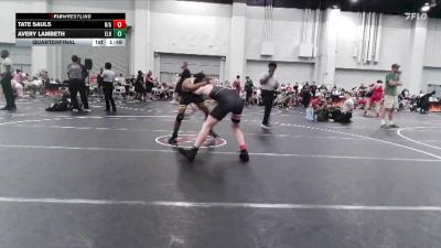 123 lbs Quarterfinal - Tate Sauls, N/a vs Avery Lambeth, Eagles Landing Highschool