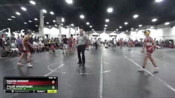 130 lbs Finals (2 Team) - Tyler Whartnaby, PA Alliance Blue vs Mason Horwat, TDWC