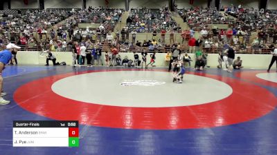 46 lbs Quarterfinal - Tetsuo Anderson, Spartans Wrestling Club vs Jace Pye, Junior MatDogs Wrestling