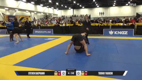 Toshio Taguchi vs Steven Saephanh 2025 World IBJJF Jiu-Jitsu No-Gi Championship