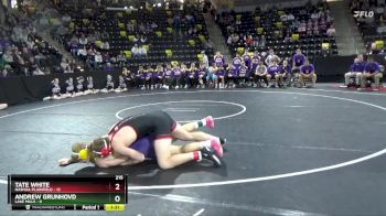 215 lbs Quarterfinal - Andrew Grunhovd, Lake Mills vs Tate White, Nashua-Plainfield