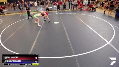 136 lbs Quarterfinal - Kadin Martin, MN vs Andrew Pellicci, IL