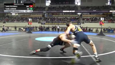 149 lbs Champ. Round 1 - Jake Piccirilli, UNC Pembroke vs Cael Larson, Augustana (SD)
