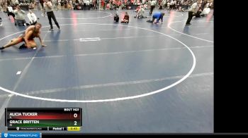 164 lbs Cons. Round 1 - Alicia Tucker, IL vs Grace Britten, IA