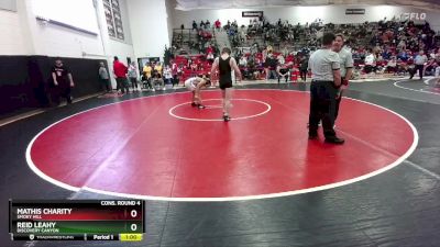 138 lbs Cons. Round 4 - Mathis Charity, Smoky Hill vs Reid Leahy, Discovery Canyon