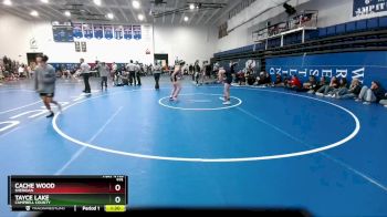 113 lbs Quarterfinal - Tayce Lake, Campbell County vs Cache Wood, Sheridan