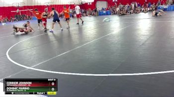 165 lbs Round 3 (6 Team) - Connor Johnson, Weyauwega-Fremont vs Dominic Marino, Glenbrook South