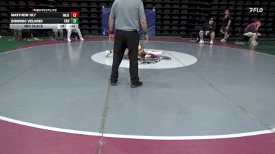 78 lbs 3rd Place - Matthew Bly, West Wyoming vs Dominic Velardi, Fairfield