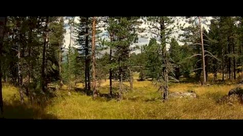 Julia Bleasdale's Summer in the Alps