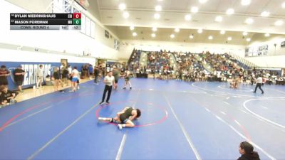 113 lbs Cons. Round 4 - Mason Foreman, Manhattan Beach vs Dylan Niedringhaus, Edison