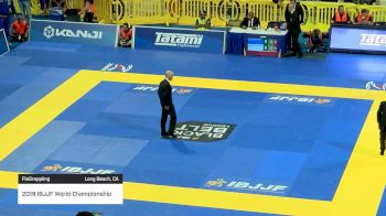 MAX GIMENIS vs RENAN VIEIRA 2019 World Jiu-Jitsu IBJJF Championship