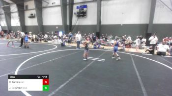 61 lbs Final - Daniel Torres, Mat Demon WC vs Jayden Crisman, Salem Elite