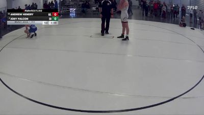 141 lbs Champ. Round 1 - Andrew Henery, Neligh-Oakdale vs Joey Falcon, BV Bison