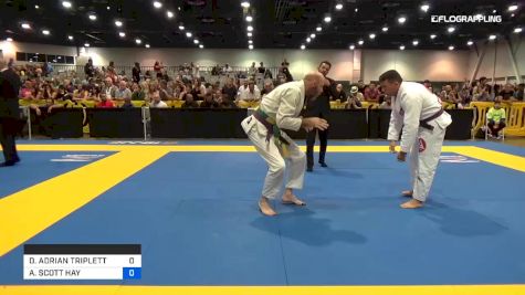 DANIEL ADRIAN TRIPLETT vs ANDREW SCOTT HAY 2019 World Master IBJJF Jiu-Jitsu Championship