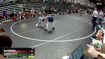 95 lbs Round 4 (6 Team) - Maddox Stultz, Indiana Blue vs Eli Anderson, South Dakota Lightning