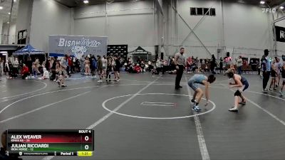 80 lbs Placement (4 Team) - Julian Ricciardi, Iron Horse vs Alex Weaver, Kings K6