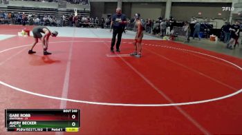 135 lbs Quarterfinal - Avery Becker, ANML vs Gabe Robb, Owatonna