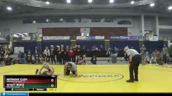 110 lbs Finals (4 Team) - Wyatt Boice, Minisink Valley vs Anthony Clem, Wantagh Sr High