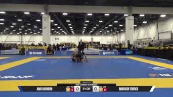 Windson Torres vs Amr Ghoneim 2025 World IBJJF Jiu-Jitsu No-Gi Championship