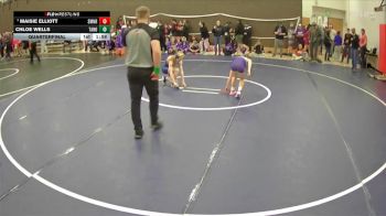 100 lbs Quarterfinal - Maisie Elliott, Sumner vs Chloe Wells, Tahoma