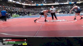 165 lbs Cons. Round 3 - Carter Wendling, Hillcrest vs Britt Wells, Filer